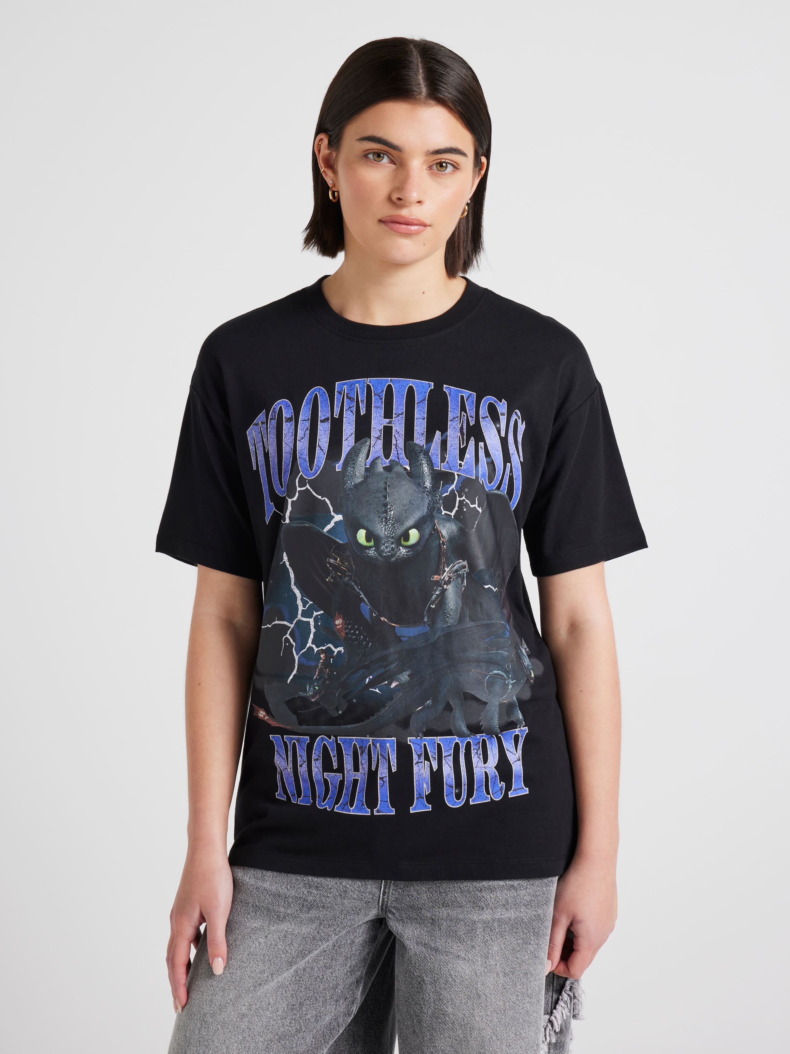 How To Train Your Dragon Isle Of Berk Oversized Tee