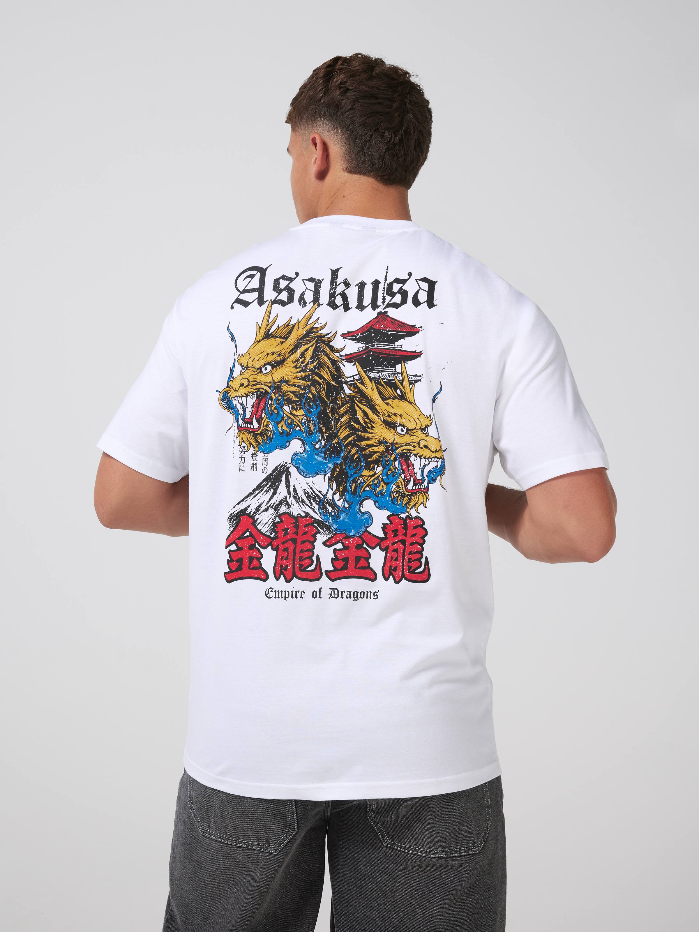Japan Asakusa Dragon Relax Short Sleeve Tee