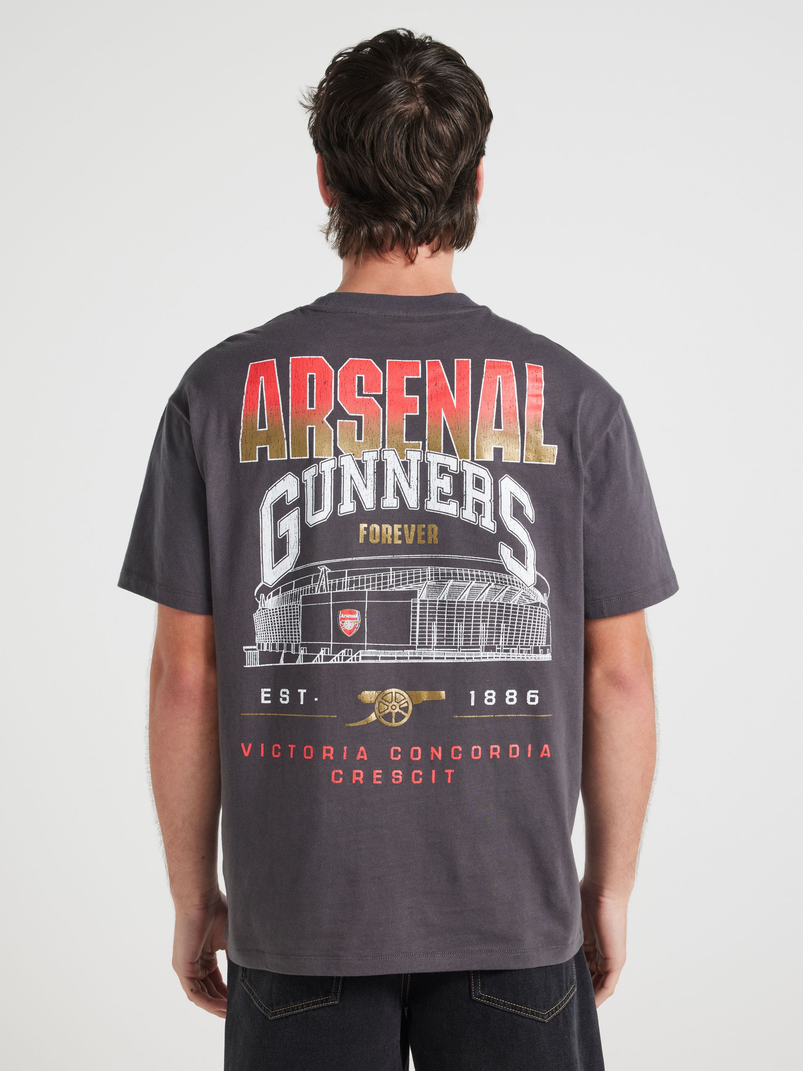 Epl Arsenal Relaxed Tee
