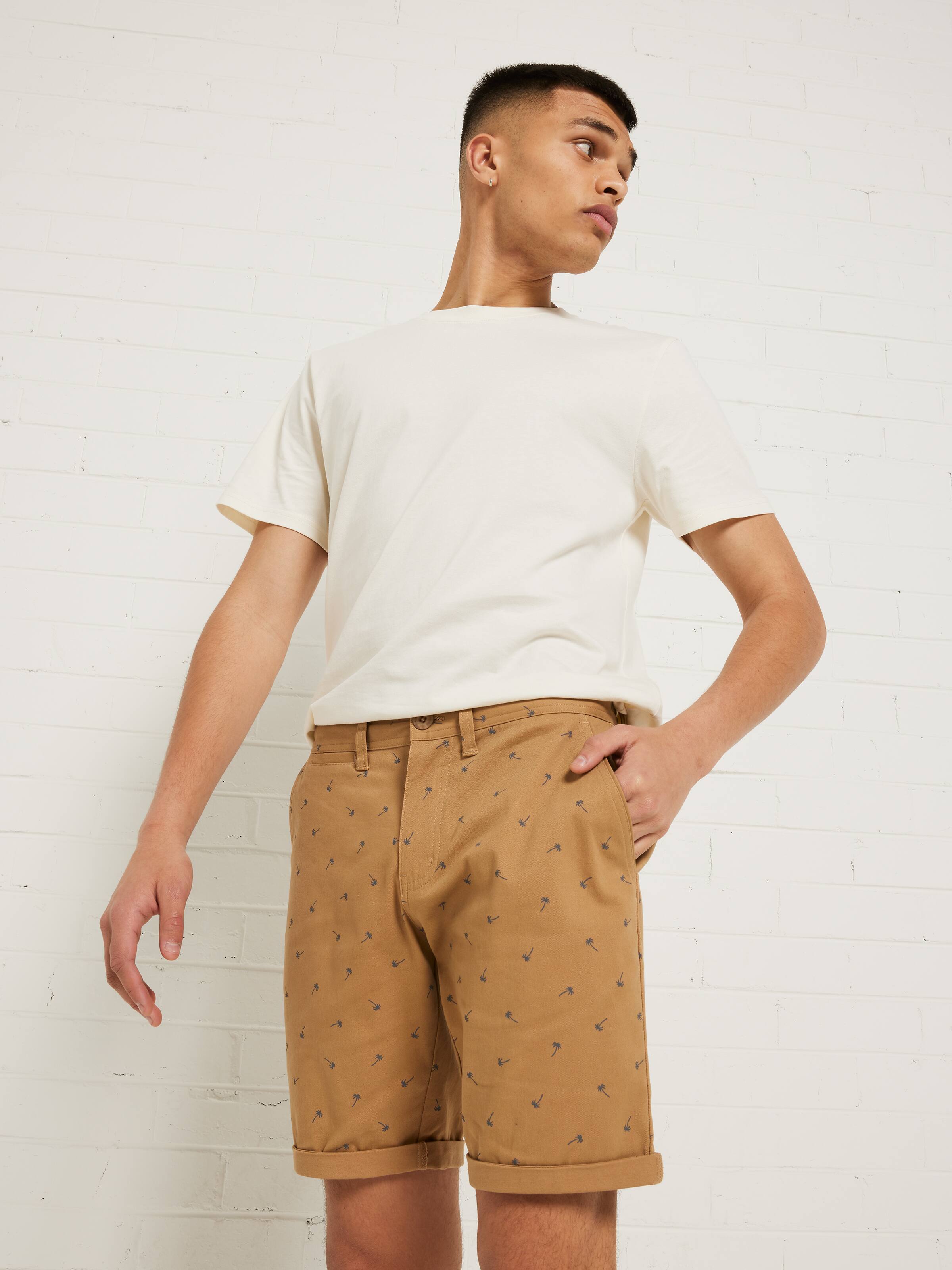 Chino Short Palm