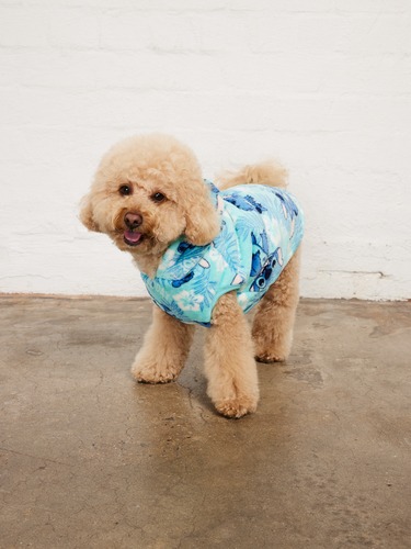 Lilo Pet Blanket Hoodie