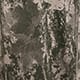 Camo Print