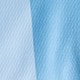 Blue Stripe