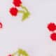 White Cherry