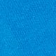 Blue Shark
